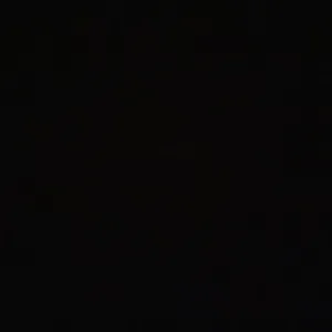 Pet-Sitter à Toulouse et ses alentours 