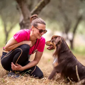 DOG WALKER-Promeuse de chiens à Toulouse