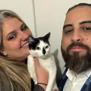 Procuro cuidadores par visita a gato