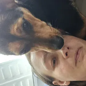 Pet-Sitter a pontault combault