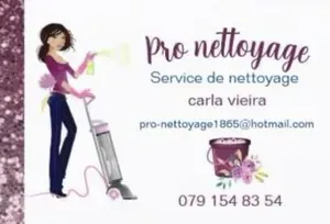 Femme de ménage à domicile Ormont-Dessus