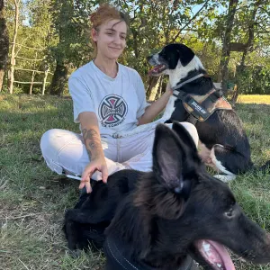 Pet sitting a Castiglione delle stiviere