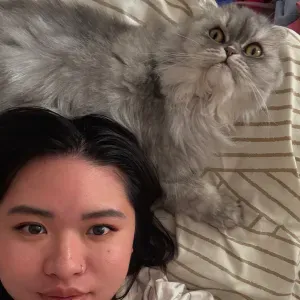 Pet-sitter passionnée dans le Haut-Rhin – Chats & chiens 