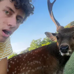 Pet-sitter trilingue (FR / EN / DE) – Antibes & Nice