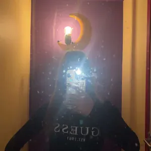 Pet-sitteuse a bruxelles et cest allentours 