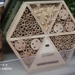 Responsible house cleaner in Italy (nearly 1 year)