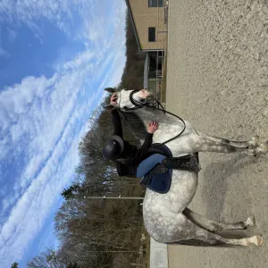 Disponible sur etalle et Arlon !