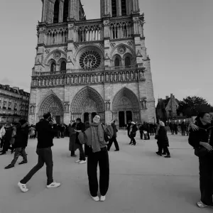 Pet sitter à Lille pour le mois de Juillet !