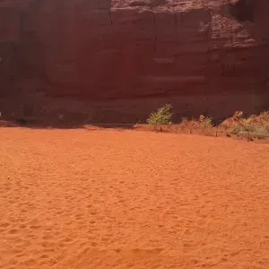 Je propose mes services en tant qu'aide ménagère