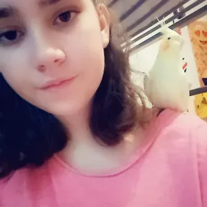 Gardé vos animaux de compagnie