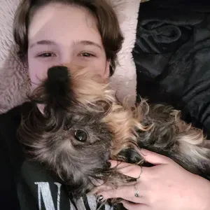 Pet-sitter a leimbeck, France 