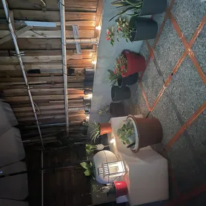 Garde d'enfants & aide aux personnes âgées – Villeurbanne