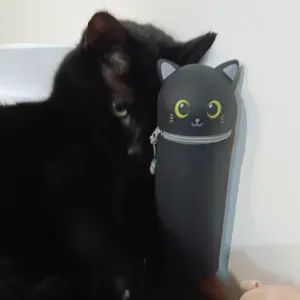 Sono disponibile ad aiutare persone con difficoltà 