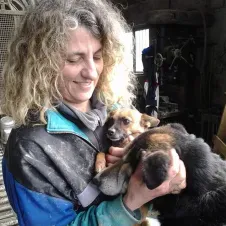 Pet-Sitter dédié à vos bébés poilus