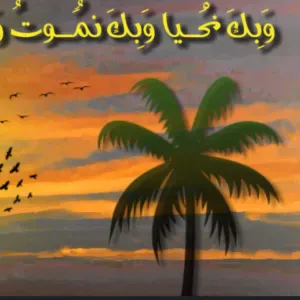 Femme de ménage expérimentée à Liège