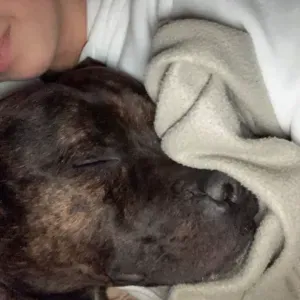 Laïna (la meilleure dog-sitter de Paris) 