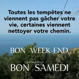 Femme De ménage à Mayenne 53100