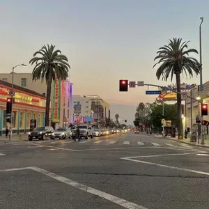 Je garde votre animal :)