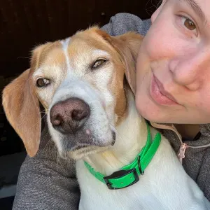 Pet-sitter à Semur en Auxois et alentours