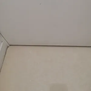 Femme de ménage, Argenteuil et alentours