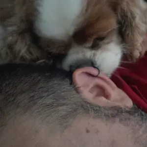 Sono Francesco, gli animali con me saranno sempre al sicuro!