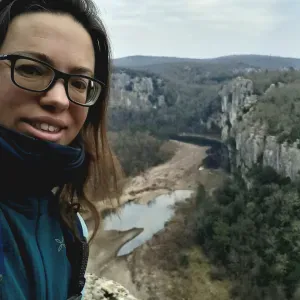 Auxiliaire de vie / ménage secteur Pompey