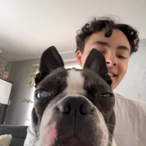 Pet-Sitter à Bayeux -  Promenades et Garde a domicile