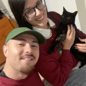 Gatos são os melhores…… Gatos são os melhores……