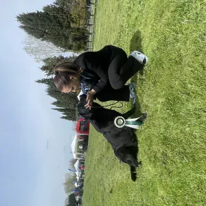 Lascia il tuo cane o gatto in compagnia di Elvira a Parma