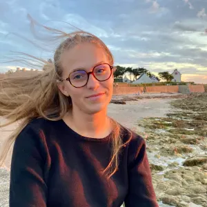 Baby-sitter à Reims