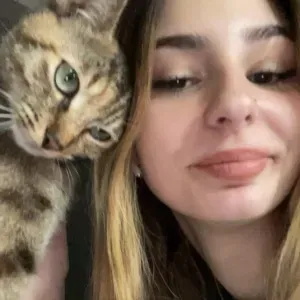 Pet-Sitter pour chiens et chats à Wittelsheim 