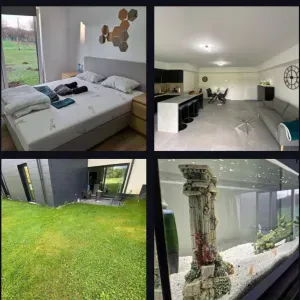 Aide ménagère expérimenté à Bruxelles