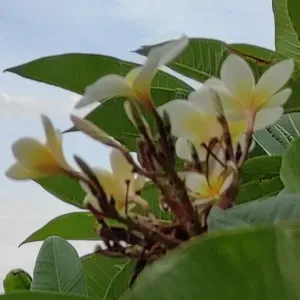 Maman de deux étudiants désormais disponible pour vous aider