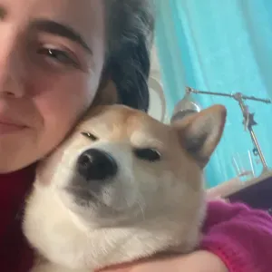 Pet sitter a bxl quadrilingue (es ,eng,ned….