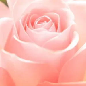 Nounou expérimenté et bienveillante !