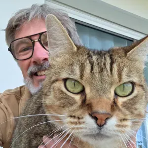 A la recherche d'un cat Sitter