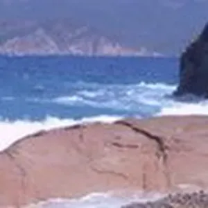 Offre d'emploi pour un(e) petsitter à Le Plessis-Trévise