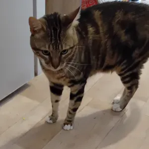 Visite à domicile
