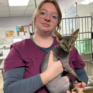 Pet-sitter et auxiliaire vétérinaire 