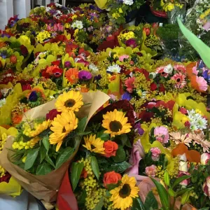 Addetta alle pulizie  nel Canavese 