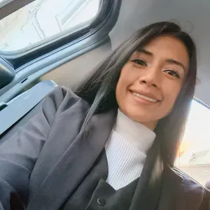 Ménages et entretiens. (Repassage) 