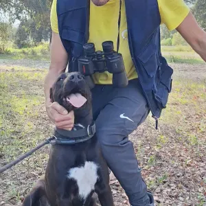 Explicador de Matemáticas e Inglês - Margem Sul e online