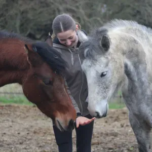Pet-Sitter dans le 91,92 et 94