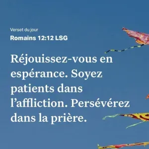 Babysitter expérimentée a Cayenne 