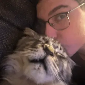 Pet-sitter débutant mais motivé — dispo rapide !