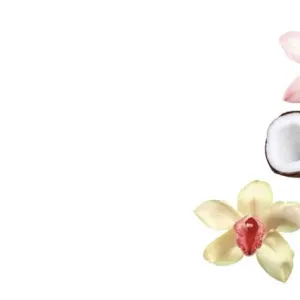 AESH éxpérimentée a champigny sur marne