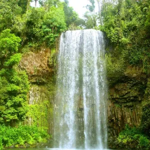 Services de ménage – Personne sérieuse et prudente