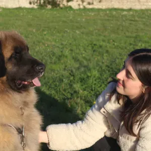 Tout pour vos loulous ! 