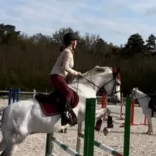 Pet-sitter à domicile ou chez moi:chien/chat/chevaux/rongeur