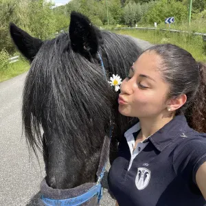 Pet-sitter aux alentours D'Evreux